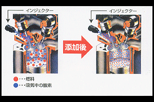 変化の様子